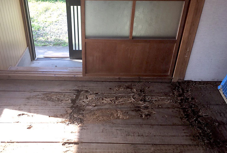 畳を剥がすと床材にはシロアリがかじった跡がたくさんありました